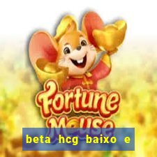 beta hcg baixo e gravidez evoluiu